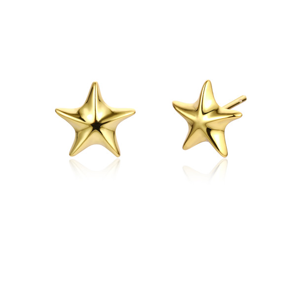 Starfish Earrings Stud